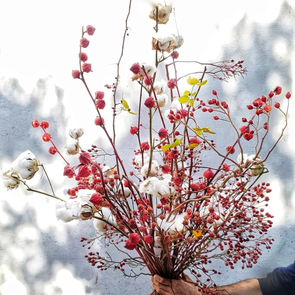 Cotton and Berries
