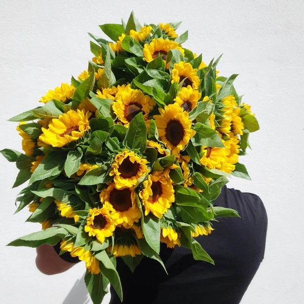 Let the Sunshine Inn