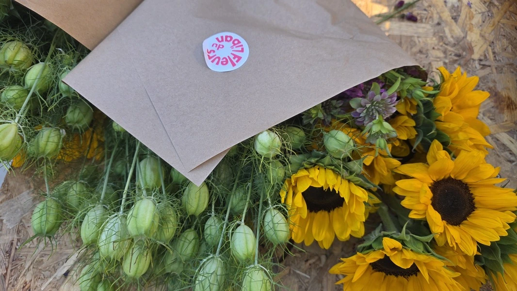 4 weeks subscription  Small