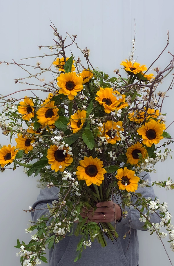 You Carry The Spring