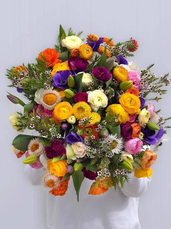 Tulips in Spring Light