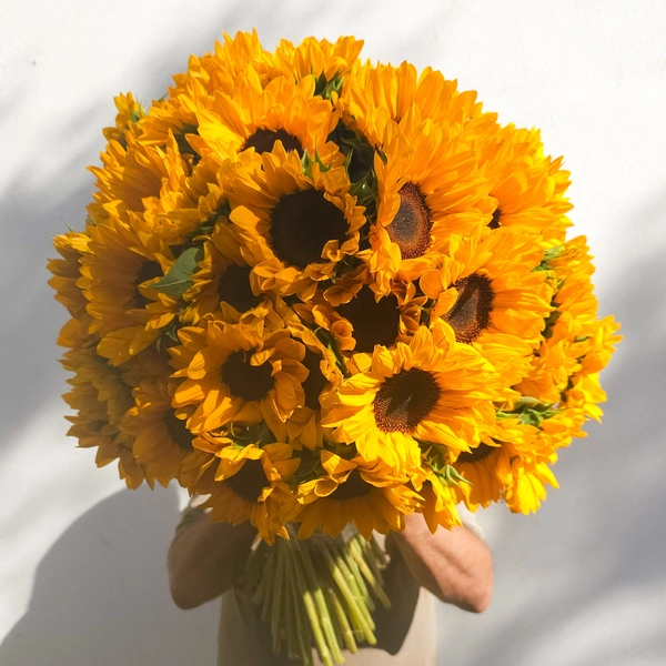 Let the Sunshine Inn