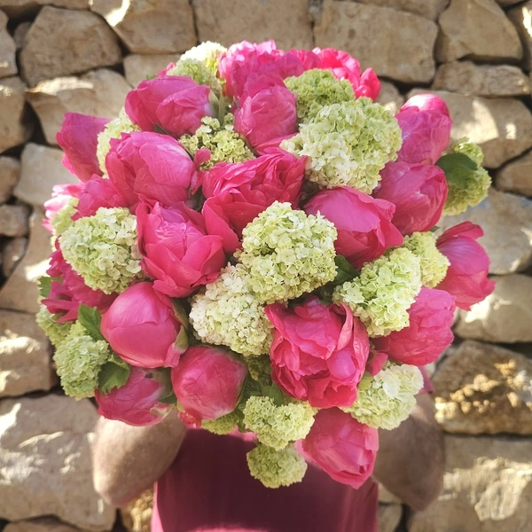 Pom Pom Crush
